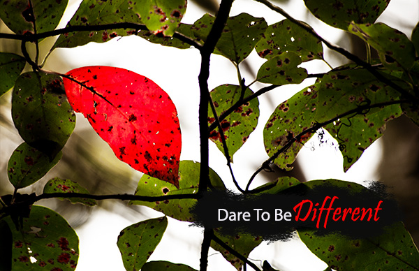 Jackson _Poster For Web